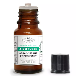 [K1653] Blend à diffuser Assainissant et Purifiant pour l'hiver